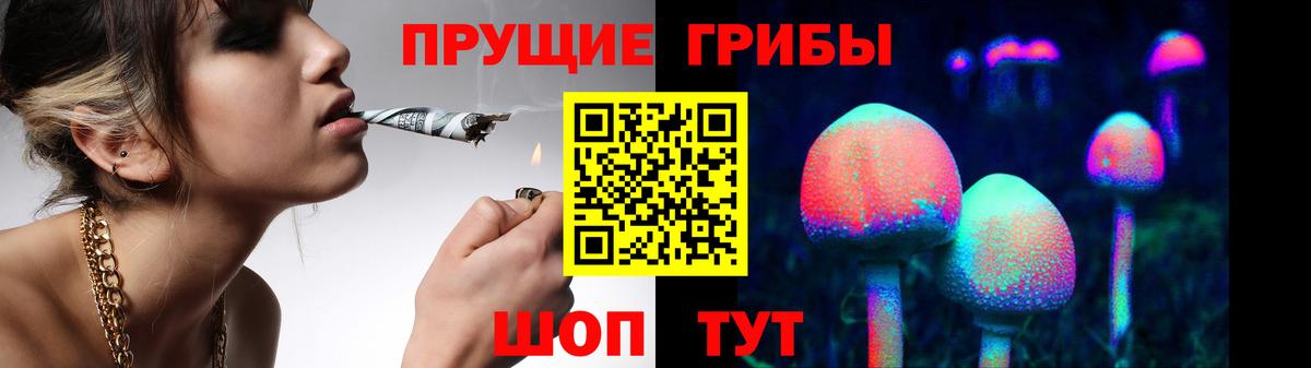 Псилоцибиновые грибы MAGIC MUSHROOMS  Вход с VPN  Братск  Псилоцибиновые грибы Magic Shrooms 